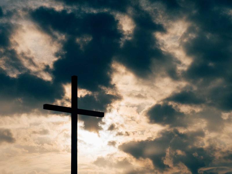 仿生义肢<br>rhipqgo.cn 赛博格改造舱